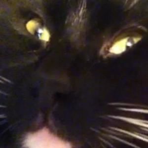 Meet your Posher, Jack